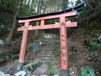 Shogunyama1.jpg