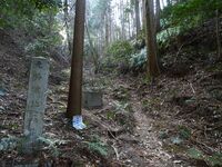 Shogunyama2.jpg