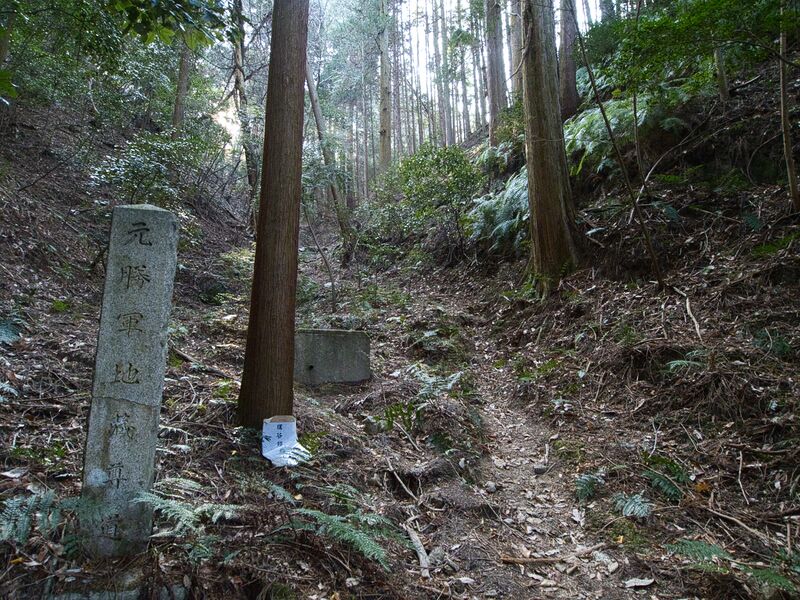File:Shogunyama2.jpg