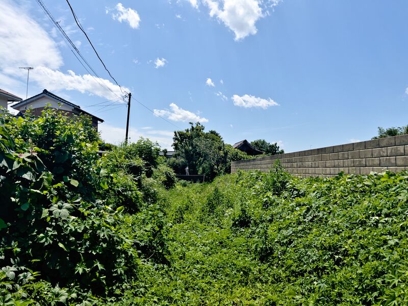 File:Ashikagamasauji2.jpg