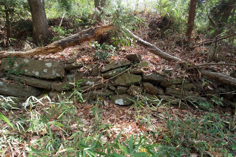File:Hanazono18.jpg