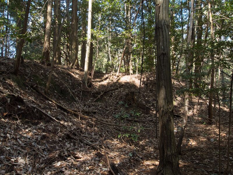 File:Higashimaruokakoka11.jpg