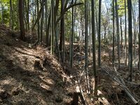 Kokashimoyama10.jpg