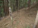 Kosugejou (18).JPG