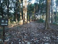 Matsudairajo8.jpg