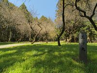 Minowa40.jpg