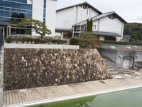 Sonobe227.jpg