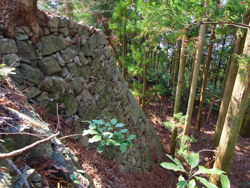 File:Takatori60.jpg