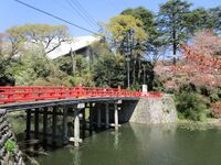 ARTTakaokajou11.jpg