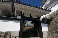 Igaueno9.jpg