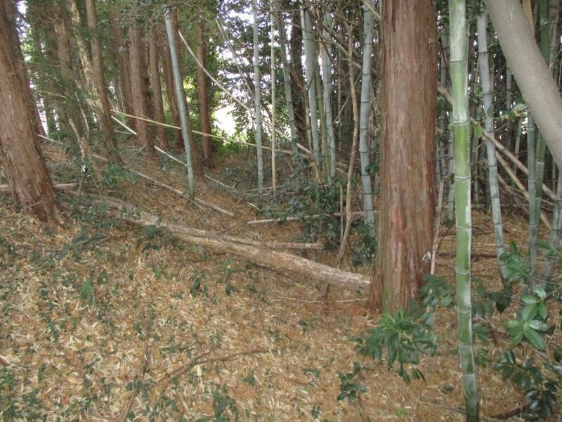 File:IseHiraojou002.jpg