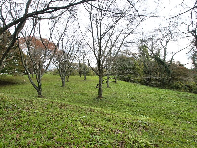 File:Iwakiri22.jpg