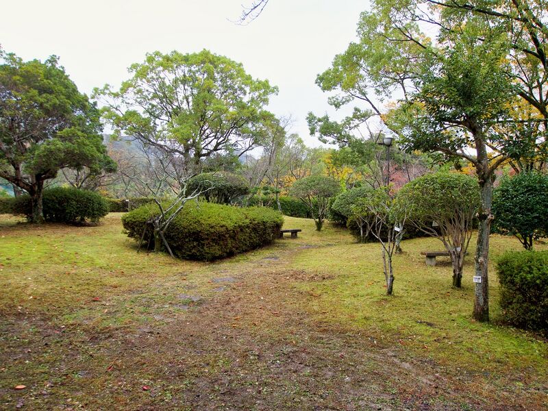 File:Kamei44.jpg