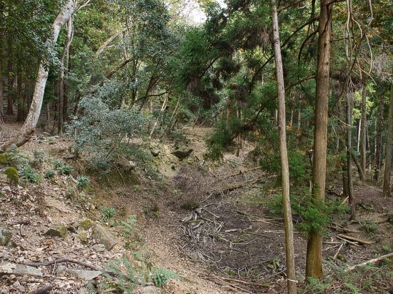File:Kohyama58.jpg