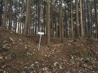 Koideyakatakyoto4.jpg