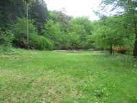 Koiwatakejou (4).JPG