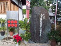 Osaka sanadamaru6.jpg