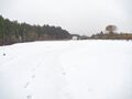 Thumbnail for version as of 10:55, 24 January 2021