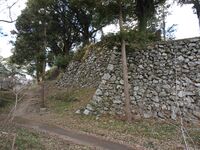 Tamaru2025 14.jpg