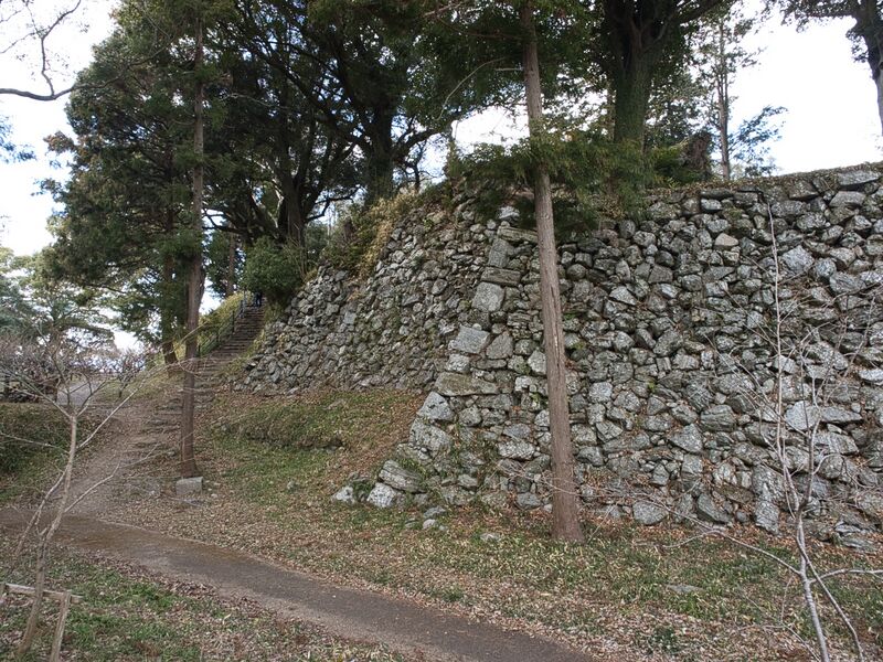 File:Tamaru2025 14.jpg