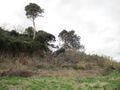 Thumbnail for version as of 10:15, 9 June 2024