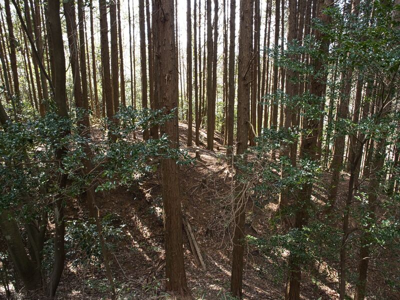 File:Yagyufurushiro14.jpg