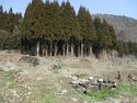 YamadaTakanashiYakata (9).JPG