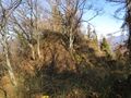 Thumbnail for version as of 14:26, 16 January 2021