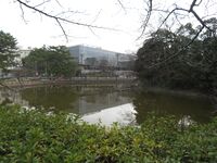 Kariyajou (5).JPG