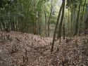 Kaseyamakyoto14.jpg