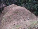 Katsumatajou (2).jpg