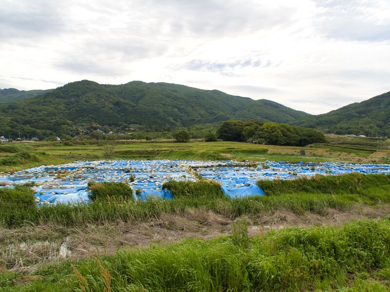 File:Makabe7.jpg