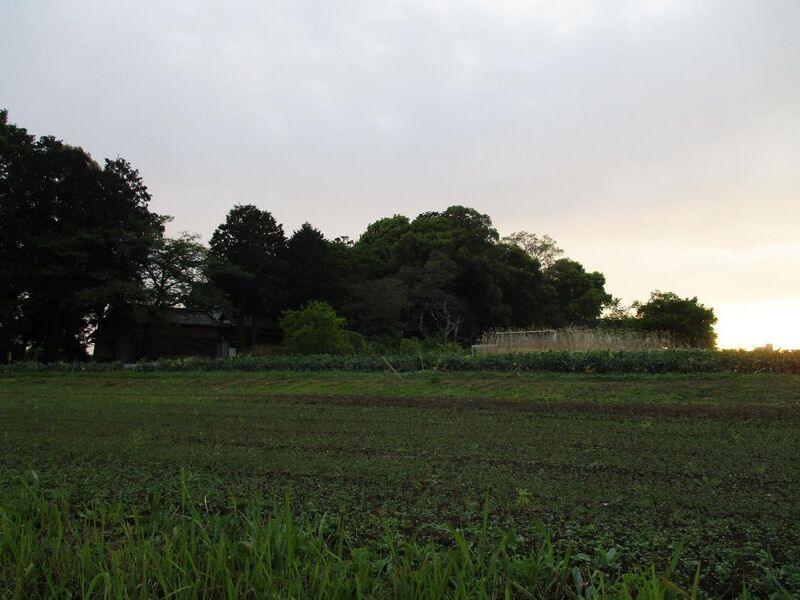 File:MikawaMorijou (21).jpg
