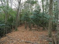 Nakaokyoto18.jpg