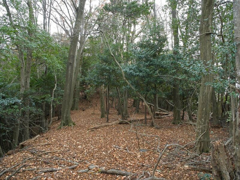 File:Nakaokyoto18.jpg