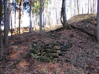 SakuTaguchijouA (28).JPG