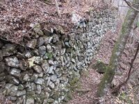 ShingenYashiki (1).JPG