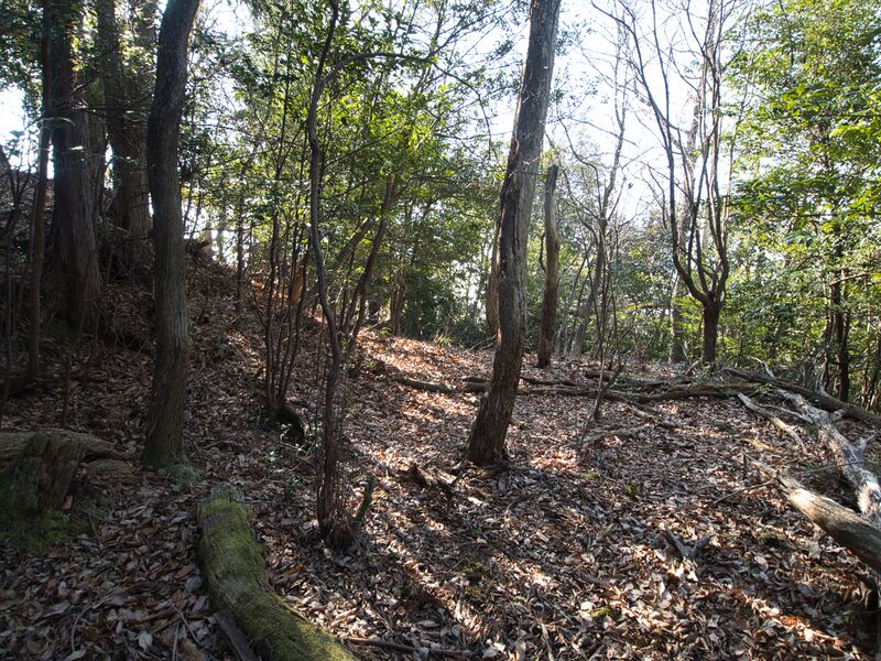 File:Shogunyama8.jpg
