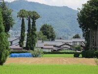 YaguchiYakata (1).JPG