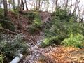 Thumbnail for version as of 19:31, 13 January 2021