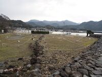 Hagiebisugahana6.jpg