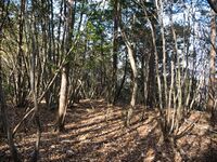 Inokurakyoto35.jpg