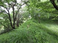KaiKoyamajou (1).JPG