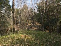 Kaseyamakyoto47.jpg