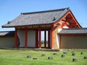 KinowaSaku (1).JPG