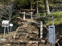 Kogaminekyoto1.jpg