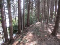 KoideFubukikaitojou (12).JPG