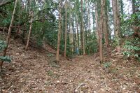 Matsuida6.jpg
