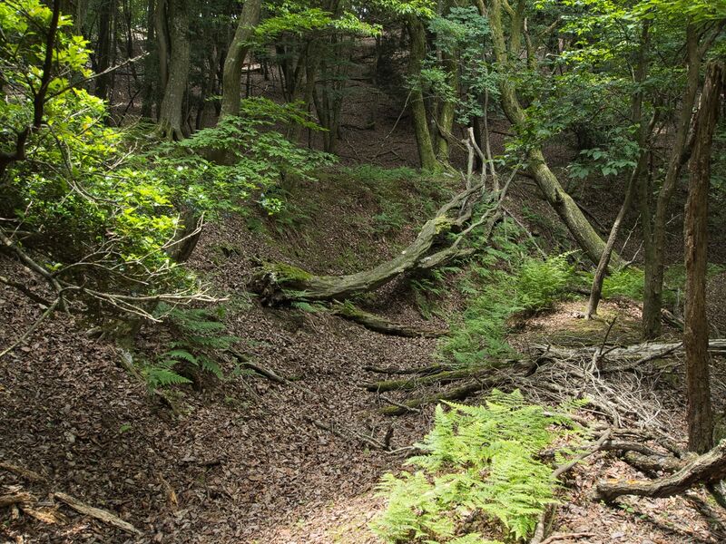 File:Nyoigatake14.jpg