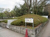 Odoi (67).JPG